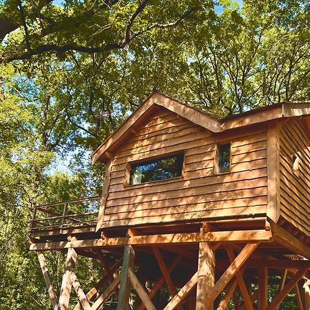 Dolce Et Cabane Berat Zewnętrze zdjęcie